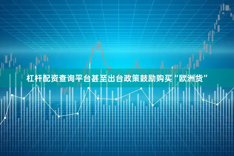 杠杆配资查询平台甚至出台政策鼓励购买“欧洲货”