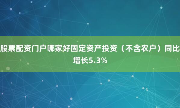 股票配资门户哪家好固定资产投资（不含农户）同比增长5.3%