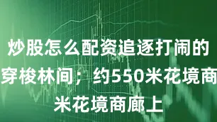 炒股怎么配资追逐打闹的身影穿梭林间；约550米花境商廊上