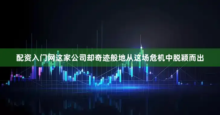 配资入门网这家公司却奇迹般地从这场危机中脱颖而出
