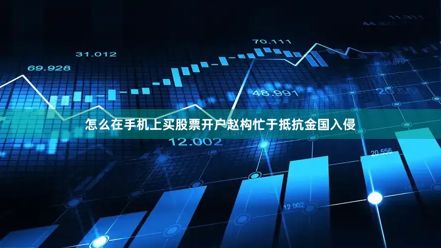 怎么在手机上买股票开户赵构忙于抵抗金国入侵