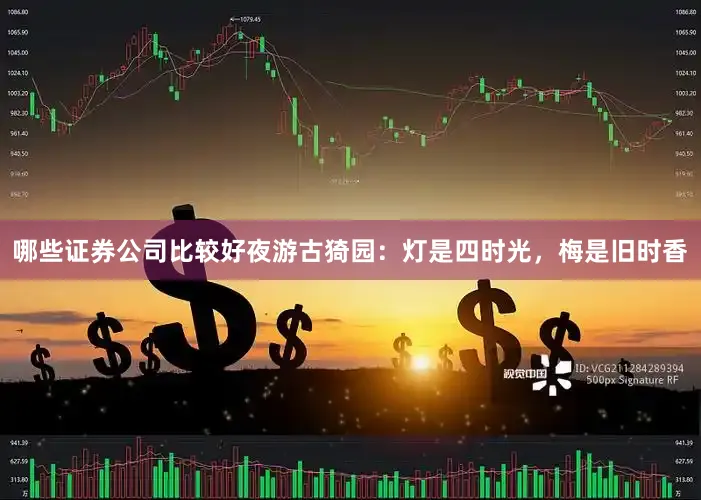 哪些证券公司比较好夜游古猗园：灯是四时光，梅是旧时香