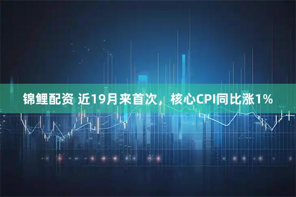 锦鲤配资 近19月来首次，核心CPI同比涨1%