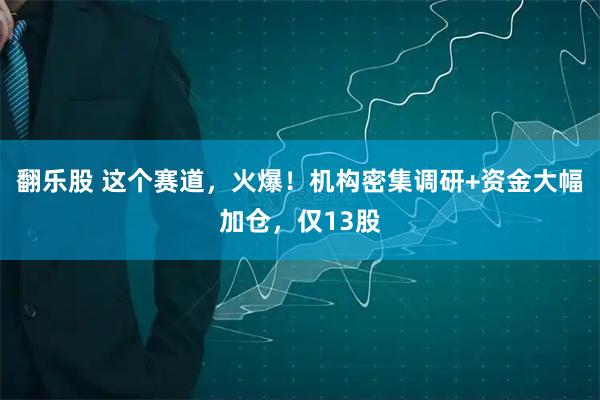 翻乐股 这个赛道，火爆！机构密集调研+资金大幅加仓，仅13股