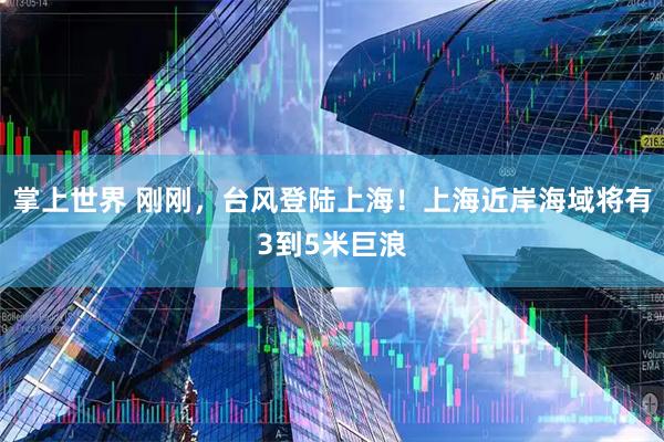 掌上世界 刚刚，台风登陆上海！上海近岸海域将有3到5米巨浪