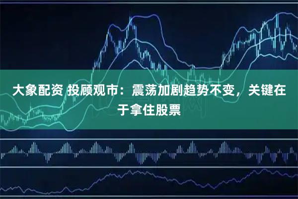 大象配资 投顾观市：震荡加剧趋势不变，关键在于拿住股票