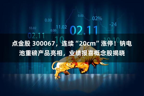 点金股 300067，连续“20cm”涨停！钠电池重磅产品亮相，业绩报喜概念股揭晓
