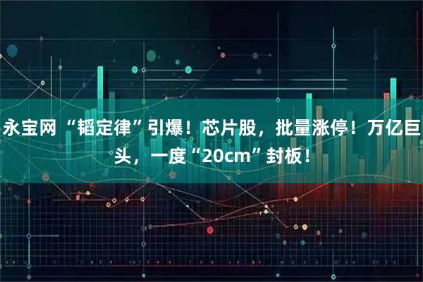 永宝网 “韬定律”引爆！芯片股，批量涨停！万亿巨头，一度“20cm”封板！